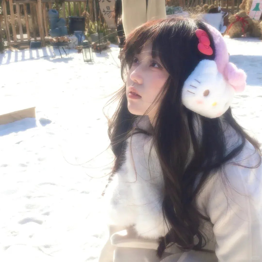 功夫阿宝：天下无拐